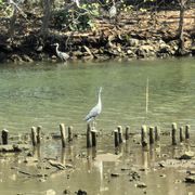 (⊙o⊙)哇 月亮诶