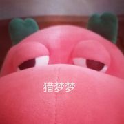 一只呆呆龙