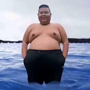 枫木晚晴