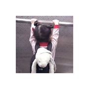 寻梦求真