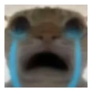 雁翔天穹