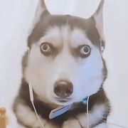 一点都不会
