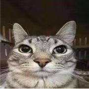 仙