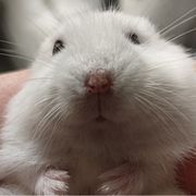 直视我