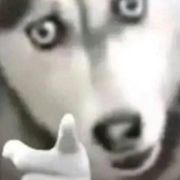     114514