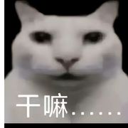 真的很烦捂嘴双标