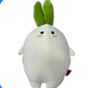航航