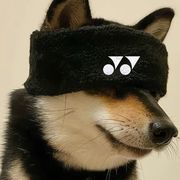 ∞，。？？！？。！？。