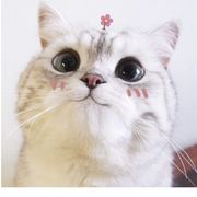 年华