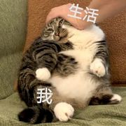 漠陵轻呗