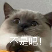 尼古拉斯  赵四