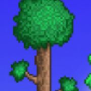 泰君