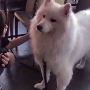 吃饱了再理你521