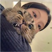 爱吃披萨的啵啵虎