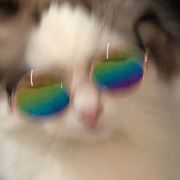 这瓜不甜还有籽