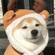 飞天②狗™