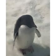 原来如此