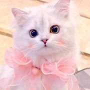 小妍呀！