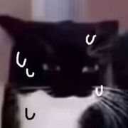 蒋倾