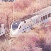 叛与诚