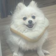 弥叶