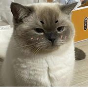 天天