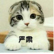 又双叒叕叒双又