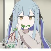 虚无弄臣