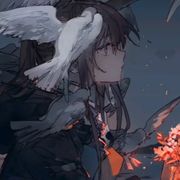 菜鸟至尊
