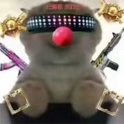鼠鼠