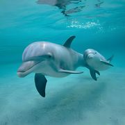 杰森__实名上网