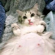 这个人怕是有毒吧