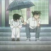 阿絮和菡菡是我的公主老婆