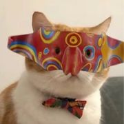 🇰 🇮 🇳  🇬