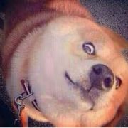 一位-先生（航海王）