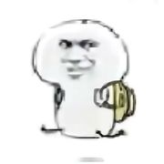 只读圣贤书