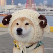 なみかぜ みなと