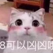 恶臭虾头三幻亩指导拳