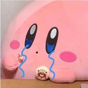 爱玩游戏的布丁