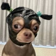 我害怕
