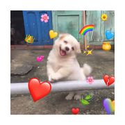 【小小怪下士】🍂