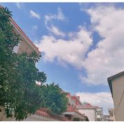 专打香肠