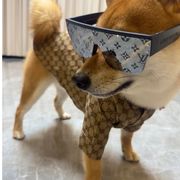 情杀