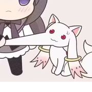 缘结白狸花