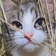 年上香年下更香