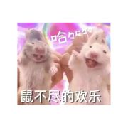 kk酱~