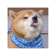 蕃茄张