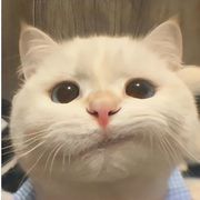 鸦青