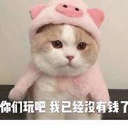 不太富贵的人间富贵花