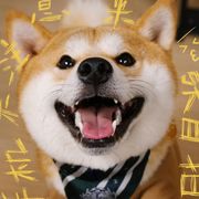 呼呼大睡
